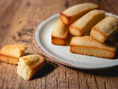 프로필/금 지희