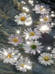 카마도 탄지로 &times; 렌고쿠 쿄쥬로