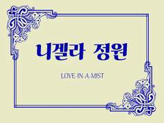 [현제유진] 니겔라 정원 2_06