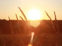 춘하추동(春夏秋冬) ; 두 번째 이야기