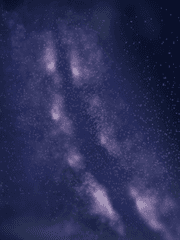 프로필(신청서)