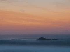 새가 되겠습니다