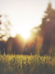 환상 너머에서 들려오는 환희의 송가