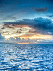 미수반 연성 모음집