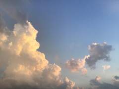 윤강찬 | 18 | 양아치