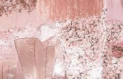 추억 하나 붙잡고 엉엉 우는 꼴은 미련이라 불렸다.