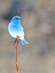 자캐 메인 스토리