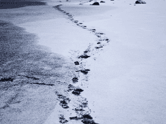 사마이치 / 세상의 끝