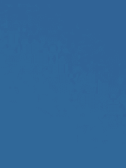 그러게 왜 그런 짓을 해서