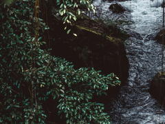 [요한예서] 나는 극한 상황에 둘만 남는 클리셰에 환장한다...