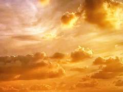 앤드리아 E. 폰 클라디미르 / 17 / XX