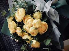 북극여우 관찰일기 25 (Fin)