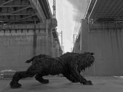 그렇게 부지해야하는 생이 있었다.