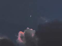 [ 자캐 ] 7대 죄악 I - 교만 / 백서현 ( Name. 엘리시아른 )