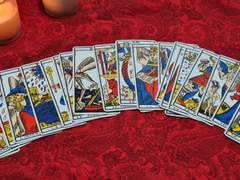 타로 상담 안내