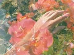 부를 수 없는 봄에게