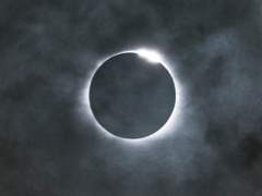 서라벌 화랑들의 나날 20 : 빛을 되찾은 해