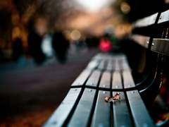 나의 전부에게.