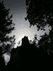 되살린 비공개 글