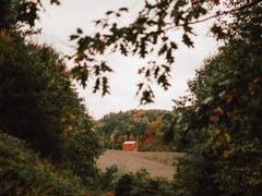 [캐롤] 어떤 세계, 어떤 사람들