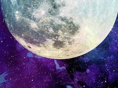 Cat’s room - dance monkey