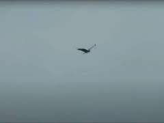 [친세대/블랙형제] 나그네의 밤노래