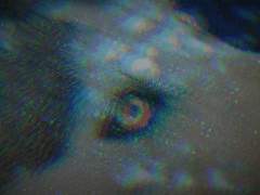 [MHYK] 짐승의 껍데기