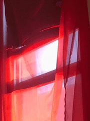 Fight, flight or FREEZE!