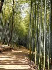 더킹:영원의군주