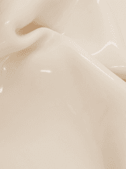 제노도투스의 기록