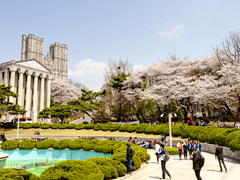 [백망되/알베케일] 행복 총량의 법칙 01