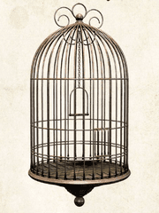 BIRD CAGE