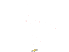 당신과 함께 걷는 길.