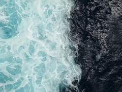 레이나 E.라일리 / 19 / XX