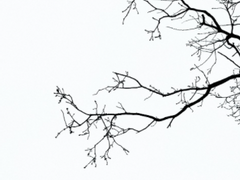 사랑이라는 것에 관하여