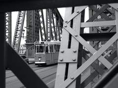 [Novel] 스티브 드림 _ 아침이슬