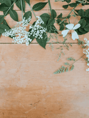 [오이이와히루] 쇼윈도 부부