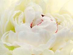 절제하기에는 우린