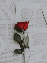 악이라고 나쁜 짓만 하진 않아 &deg;&middot;.☆