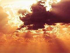 앤드리아 E. 폰 클라디미르 / 25 / XX / 황제파