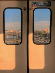 전지적 독자 시점