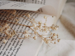 [전독시] 독자(讀者)의 세계 02.