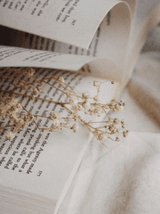 독자(讀者)의 세계