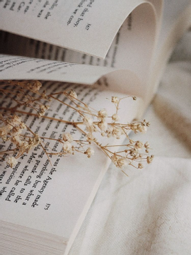 독자(讀者)의 세계