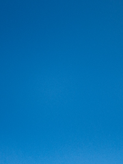 하이포시스 오리어