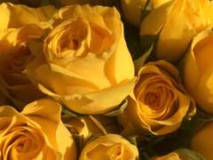 [ 아드버그 ] I missed you