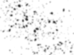 태양은 어디로 갔는가?