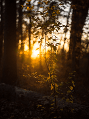 [GL]지나간새벽(나를싫어하는여자2부)