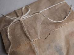 꽃봉우리를 움켜쥐고 있는 작은 화분 하나, 그리고..