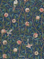 남편과 개 이야기